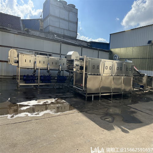 一站式解決大姜生產(chǎn)難題，選擇瑞糧食品工業(yè)裝備大姜清洗機